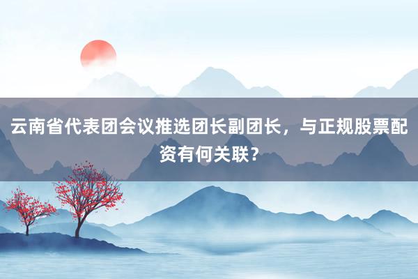云南省代表团会议推选团长副团长，与正规股票配资有何关联？