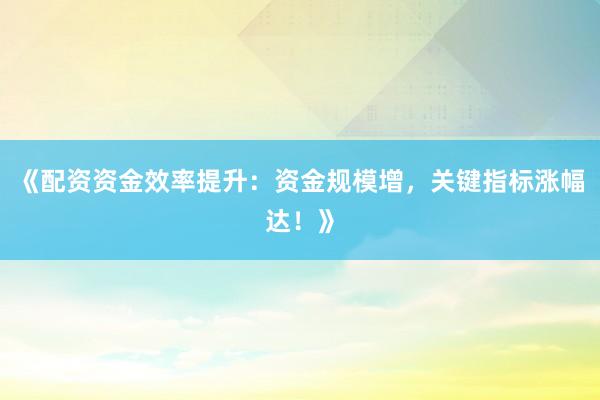 《配资资金效率提升：资金规模增，关键指标涨幅达！》