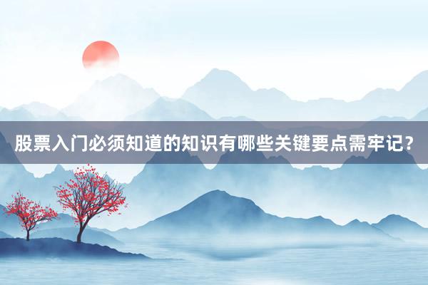 股票入门必须知道的知识有哪些关键要点需牢记？