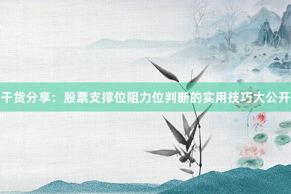 干货分享：股票支撑位阻力位判断的实用技巧大公开