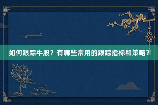如何跟踪牛股？有哪些常用的跟踪指标和策略？