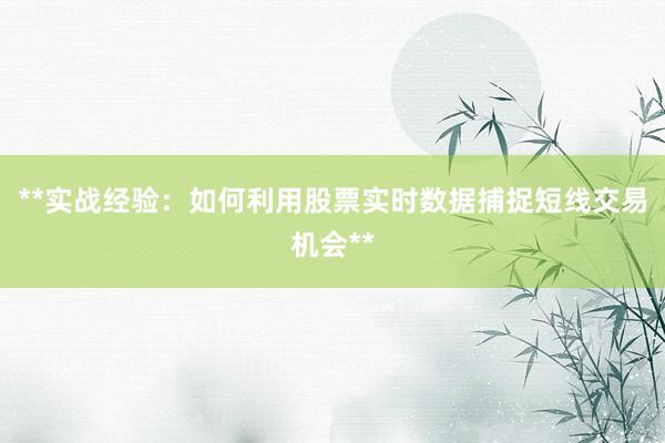 **实战经验：如何利用股票实时数据捕捉短线交易机会**