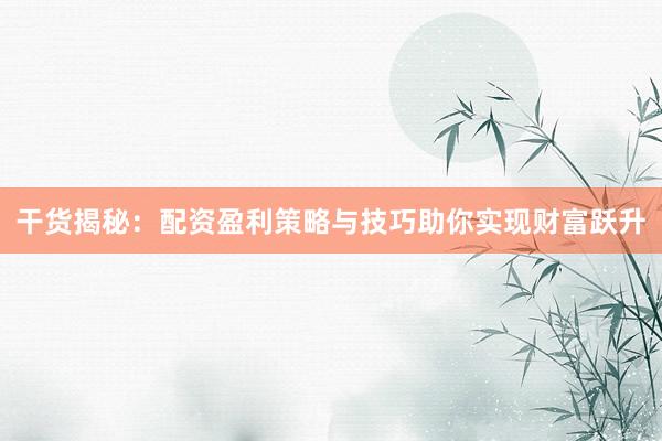 干货揭秘：配资盈利策略与技巧助你实现财富跃升