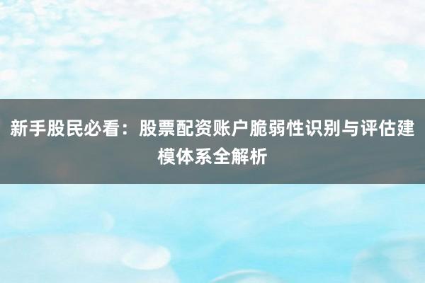 新手股民必看：股票配资账户脆弱性识别与评估建模体系全解析