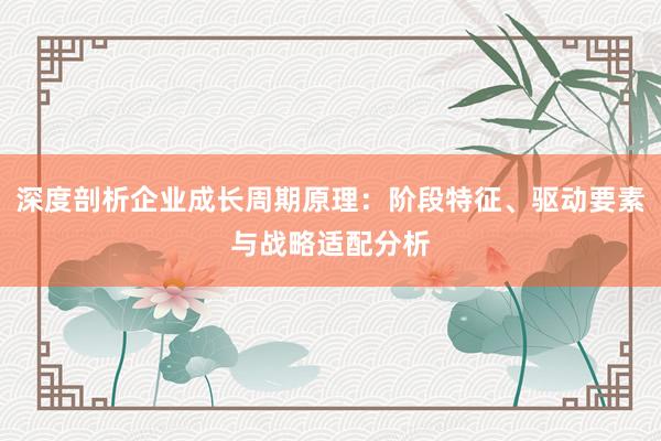 深度剖析企业成长周期原理：阶段特征、驱动要素与战略适配分析